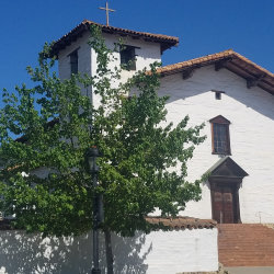 Guided Half Tours