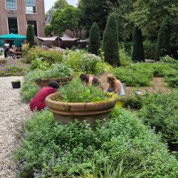 Garden with Locals in Amsterdam