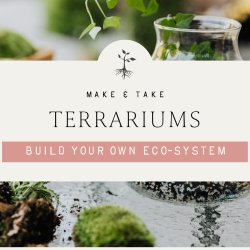 Make & Take: Terrarium Workshop
