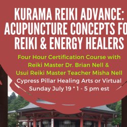 Kurama Reiki Advance: Acupuncture Concepts for Reiki & Energy Healers Certification Class