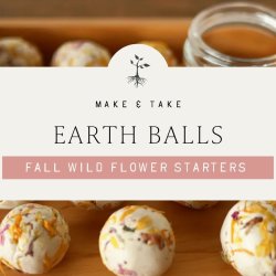 Make & Take: Fall Wildflower Starter "Earth Balls"