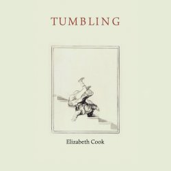 A book cover - the book is called Tumbling and it has a drawing of someone falling down the stairs backwards it is by Elizabeth Cook