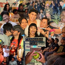 Potent Histories: Cultivating Queer Cannabis Narratives in the Digital-Analog Archive