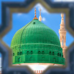 Madinah Arabic Intensive Summer 2027