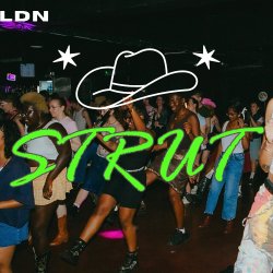 QUEER LINE DANCING WITH STRUT