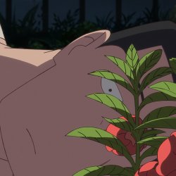 The Last Blossom