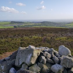 Grizedale Brook and Reservoir Amble