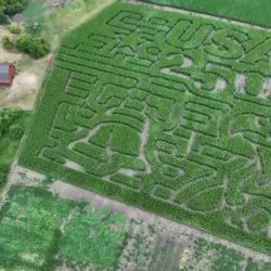 Lost Sheep Corn Maze Family