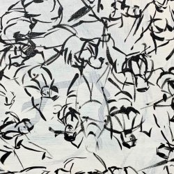 Observational Drawing Workshop