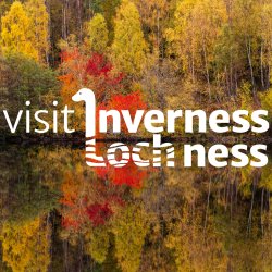 VILN Autumn Networking Event