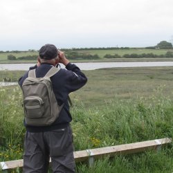 Heritage Open Days - Heritage of the Wyre Estuary 🐾