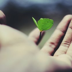 Building a Healthy Church Culture