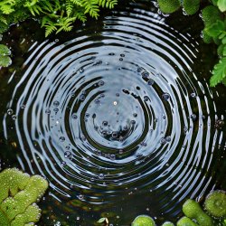 FREE Conscious Connected Breathwork Session (Online)