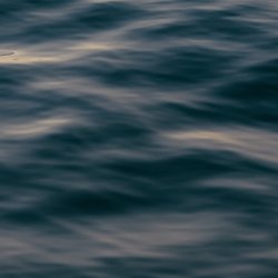 Queer Me and the Sea