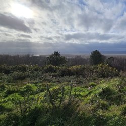 Heswall Dales Invertebrate Recording Day