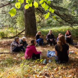 Forest Bathing Walk with Breathwork, Meditation and Cacao at Minsteracres