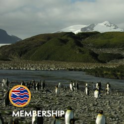 FOTBOT Membership Options