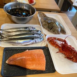 A selection of fish and shellfish