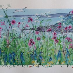 Wild Cornwall Art Workshop – Learning to paint with Watercolours