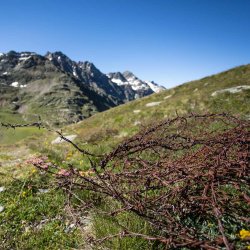 Trekking del Giovedì - CAMMINANDO NELLA STORIA