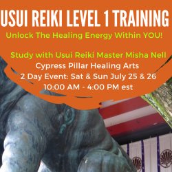 Usui Reiki Level 1 Training * 2 Day Immersion with Reiki Master Misha Nell