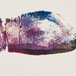A fingerprint in colourful ink.