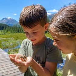 Riserva Naturale Paluaccio di Oga