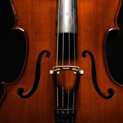 Camerata Juventino Rosas - Concierto Diálogos Atemporales  (Gratuito)