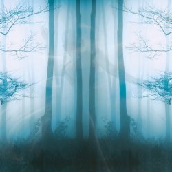 Somatic Nature