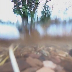 Sensing waste / water / place: A creative workshop with Feral Practice and Bryony Gillard 