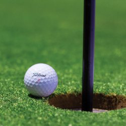 Charity Golf Day