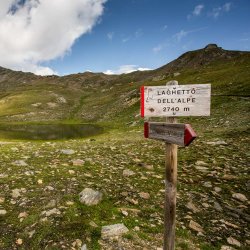 Trekking della Domenica - EDELWEISS TREKKING