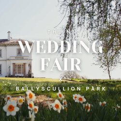 Ballyscullion Park Banner
