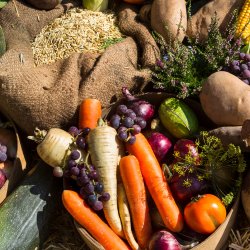 Nature-based sessions for women: Harvest feast