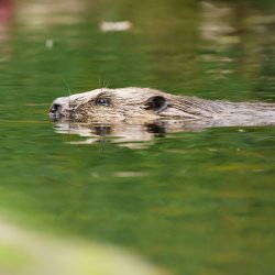 Nature-based sessions for women: Wildlife bonanza