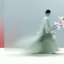 IMPERMANENCE - MONO NO AWARE /// IPPON NAWA /// ONE ROPE LAB
