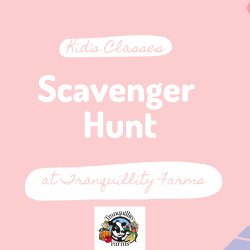 Scavenger Hunt Story Time- Ages 4-8