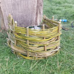 'Rooted in Willow' - A Practical Living Heritage Skills Project