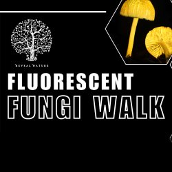 Fluorescent Fungi on the Farm