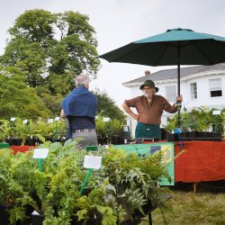 The Serge Hill Plant Fair 2026