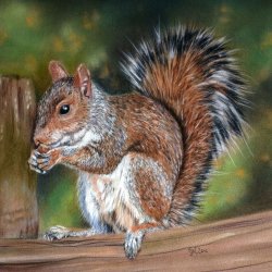 Squirrel 🐿️ in pastels with Estelle Robinson