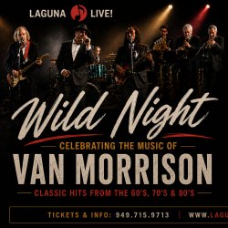 Jason Feddy and Wild Night: Celebrating the Music of Van Morrison