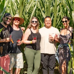 Bauman's Cider Maze & Sunflower Saturday