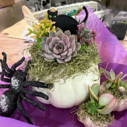 Halloween Pumpkin Centerpiece