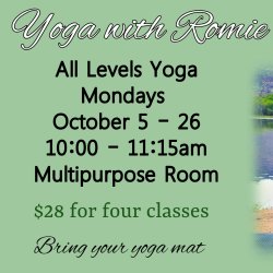 Yoga All Levels - Mondays