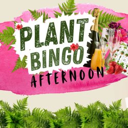 Plant Bingo Afternoon