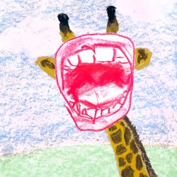 Yes & Everything: Zoo!