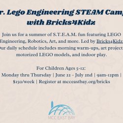 Jr. Lego Engineering STEAM Camp with Bricks4Kidz