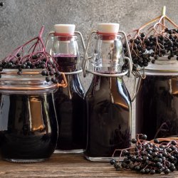 Nature-based sessions for women: Nature's larder
