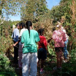 Homeschooling Visit to The Serge Hill Project